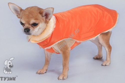 ТУЗИК №8 дс 65 ог 78 ош 55 попона теплая зима для пород: американский бульдог, сеттер, акита-ину, бассет-хаунд, бриар, лабрадор, эрдельтерьер