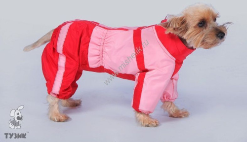 ТУЗИК ош 35 ог 61 от 53 дс 38 рост 43 комбинезон теплый для породы фокстерьер сука