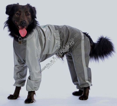 ТУЗИК ош 62 ог 97 от 83 дс 70 рост 71 комбинезон холодный для породы ризеншнауцер кобель