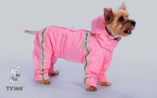 ТУЗИК ош 30 ог 52 от 44 дс 36 рост 38 комбинезон спортивный на флисе для породы пудель карликовый сука