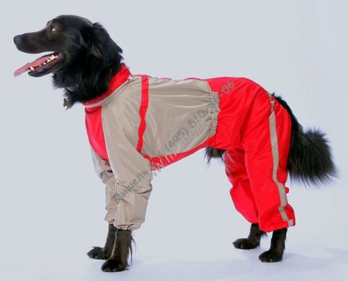 ТУЗИК ош 55 ог 81 от 71 дс 54 рост 54 комбинезон холодный для породы стаффордширский терьер сука