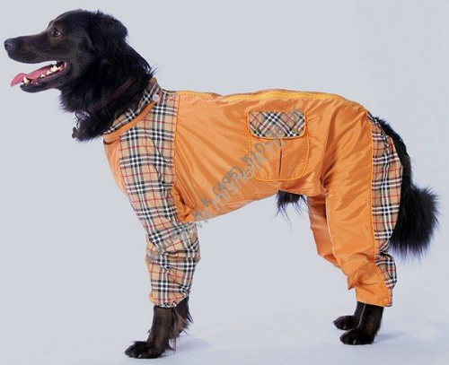 ТУЗИК ош 60 ог 85 от 78 дс 48 рост 52 комбинезон теплый для породы английский бульдог кобель