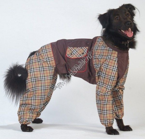 ТУЗИК ош 58 ог 85 от 74 дс 47 рост 52 комбинезон холодный для породы английский бульдог сука