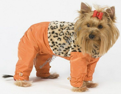 ТУЗИК ош 29 ог 39 от 34 дс 31 рост 27 комбинезон теплый с мехом зима - 1 для породы йоркширский терьер № 2 кобель