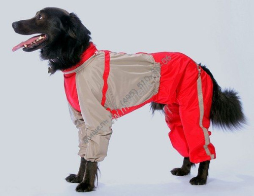 ТУЗИК ош 60 ог 82 от 72 дс 58 рост 58 комбинезон холодный для породы стаффордширский терьер кобель