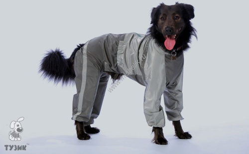 ТУЗИК ош 52 ог 77 от 65 дс 51 рост 53 комбинезон холодный для породы питбуль сука