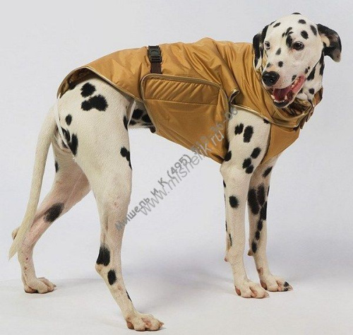 ТУЗИК №0 дс 25 ог 27 ош 24 попона теплая для пород: йорк № 1, чихуахуа