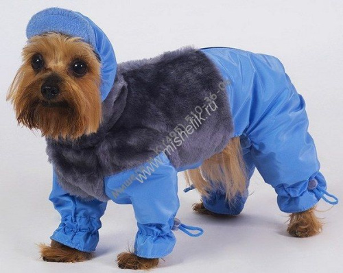 ТУЗИК ош 22 ог 36 от 32 дс 25 рост 23 комбинезон теплый с мехом зима - 1 для породы йоркширский терьер № 1 сука