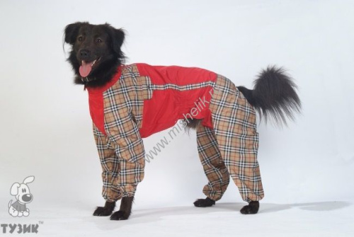 ТУЗИК ош 46 ог 73 от 61 дс 51 рост 57 комбинезон холодный для породы керри-блю-терьер сука