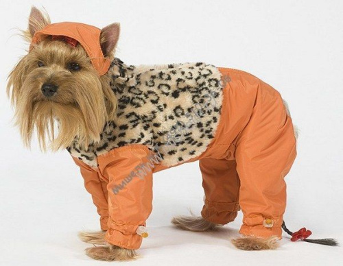 ТУЗИК ош 33 ог 48 от 40 дс 35 рост 26 комбинезон теплый с мехом зима - 1 для породы такса кроличья кобель