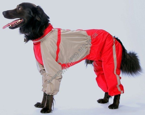 ТУЗИК ош 56 ог 94 от 82 дс 71 рост 72 комбинезон холодный для породы родезийский риджбек кобель