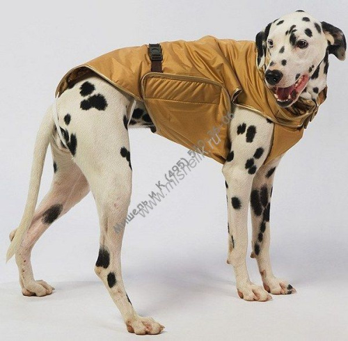 ТУЗИК №7 дс 60 ог 73 ош 47 попона теплая для пород: боксер, стаффордширский терьер, далматин, ка-де-бо, пойнтер, самоедская лайка