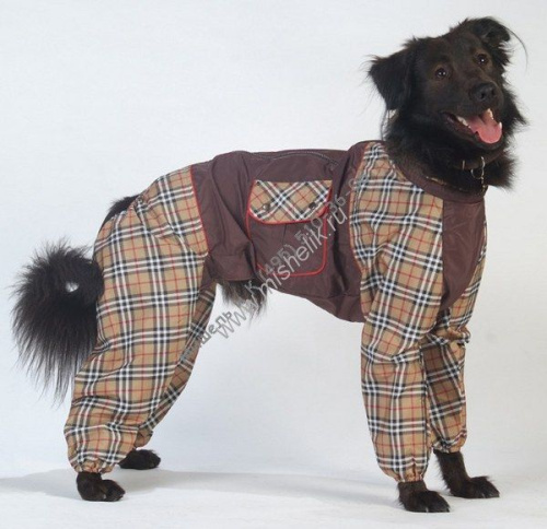ТУЗИК ош 62 ог 87 от 72 дс 52 рост 57 комбинезон холодный для породы чау-чау сука