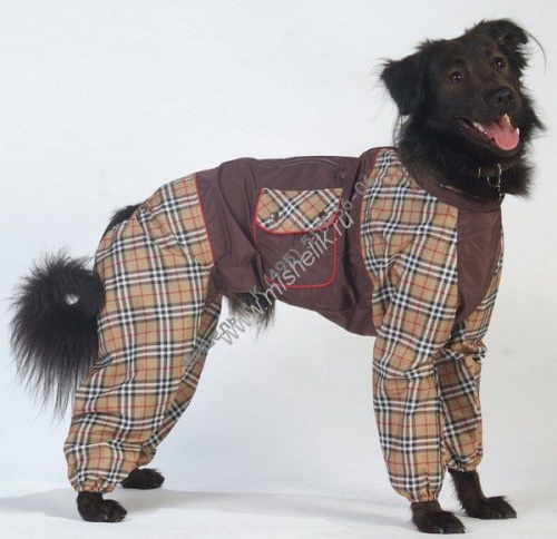 ТУЗИК ош 59 ог 98 от 80 дс 67 рост 67 комбинезон холодный для породы колли кобель