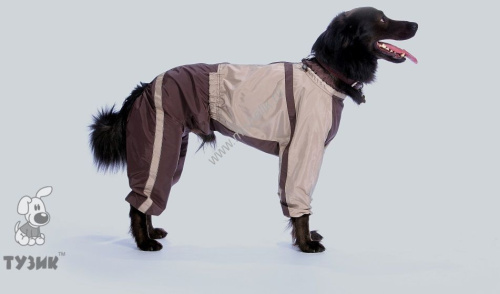 ТУЗИК ош 27 ог 43 от 38 дс 30 рост 30 комбинезон теплый для породы цверг-пинчер кобель