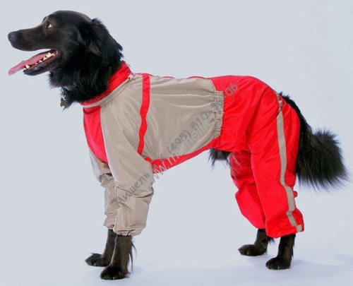 ТУЗИК ош 50 ог 82 от 64 дс 60 рост 61 комбинезон холодный для породы боксер сука