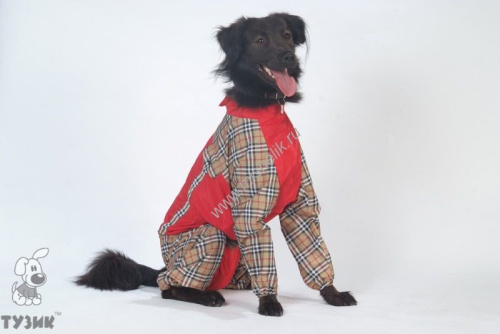 ТУЗИК ош 42 ог 69 от 56 дс 47 рост 49 комбинезон холодный для породы пудель средний сука