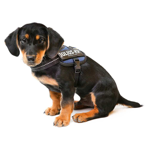 JULIUS-K9 шлейка для собак IDC®-Powerharness Mini-Mini (40-53см/ 4-7кг), синий