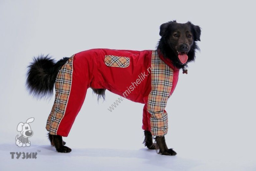 ТУЗИК ош 58 ог 97 от 81 дс 72 рост 71 комбинезон теплый для породы кане-корсо кобель