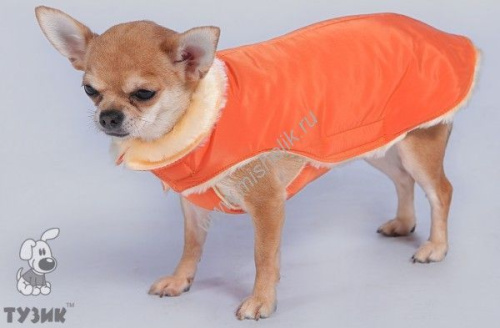 ТУЗИК №9 дс 70 ог 86 ош 60 попона теплая зима для пород: доберман, ротвейлер, аргентинский дог, афганская борзая, бладхаунд, боштейл, бульмастиф, бурбуль, колли, ризеншнауцер, родезийский