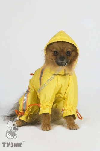 ТУЗИК ош 23 ог 33 от 31 дс 25 рост от 19 комбинезон спортивный на флисе для породы чихуахуа сука