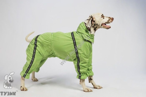 ТУЗИК ош 59 ог 95 от 85 дс 71 рост 66 комбинезон спортивный на флисе для породы американский бульдог сука