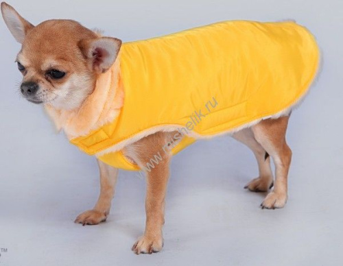 ТУЗИК №6 дс 55 ог 70 ош 47 попона теплая зима для пород: русский спаниель, шарпей, английский бульдог, бультерьер, керри-блю-терьер, миттельшнауцер, питбуль, пудель средний, чау-чау