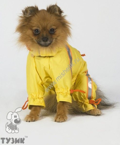 ТУЗИК ош 21 ог 34 от 31 дс 26 рост от 24 комбинезон спортивный на флисе для породы той-терьер сука