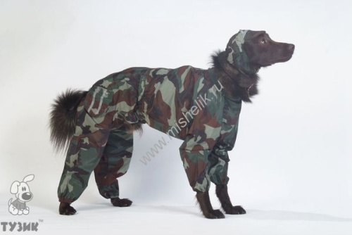 ТУЗИК Комбинезон Восточноевропейская овчарка дождевик-камуфляж кобель