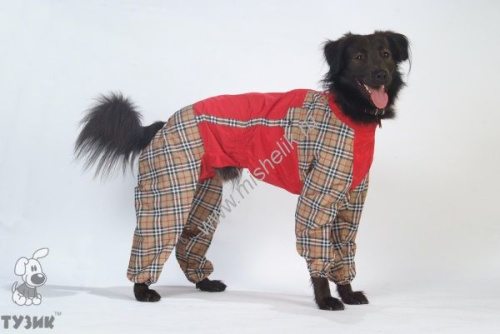 ТУЗИК ош 67 ог 104 от 81 дс 66 рост 76 комбинезон холодный для породы бульмастиф кобель