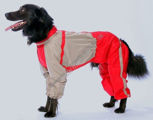 ТУЗИК ош 55 ог 83 от 70 дс 50 рост 53 комбинезон холодный для породы шарпей сука