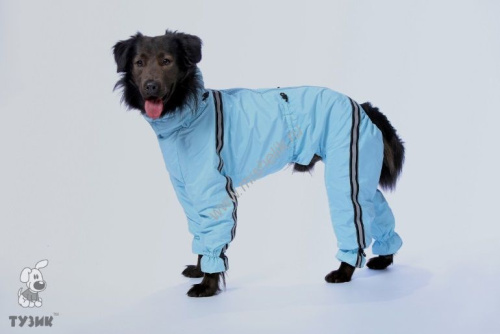 ТУЗИК ош 54 ог 87 от 74 дс 61 рост 59 комбинезон спортивный на флисе для породы лабрадор-ретривер сука