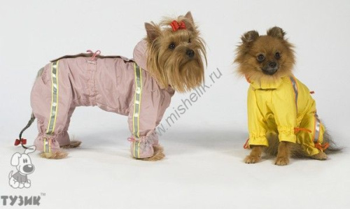 ТУЗИК ош 29 ог 39 от 34 дс 31 рост 27 комбинезон спортивный на флисе для породы йоркширский терьер № 2 сука