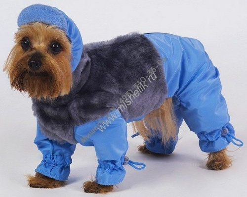 ТУЗИК ош 26 ог 46 от 39 дс 36 рост 37 комбинезон теплый с мехом зима - 1 для породы китайская хохлатая сука