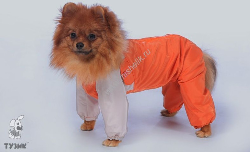 ТУЗИК Комбинезон Пудель карликовый теплый на шелке, кобель