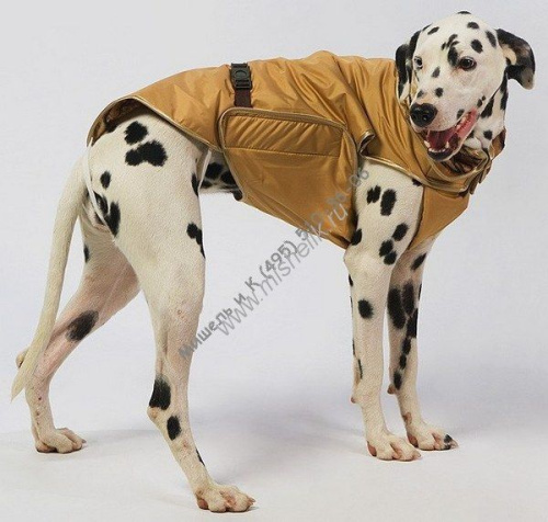 ТУЗИК №8 дс 65 ог 78 ош 55 попона теплая для пород: американский бульдог, сеттер, акита-ину, бассет-хаунд, бриар, лабрадор, эрдельтерьер