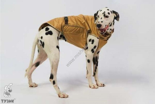 ТУЗИК Попона теплая №1 (м) унисекс