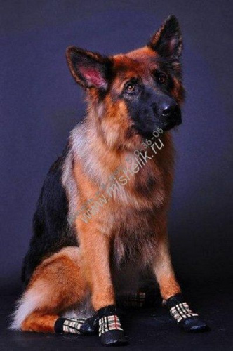 БАРБОСКИ XXL 518 носки для собак с латексным покрытием клетка