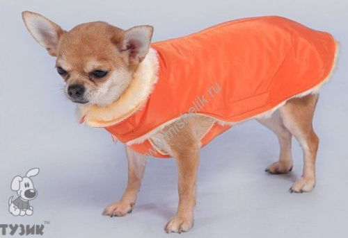 ТУЗИК №4 дс 45 ог 50 ош 41 попона теплая зима для пород: пудель малый, такса большая, бассенджи, бедлингтон-терьер, бигль, вельш-корги, мексиканская голая, фокстерьер, шелти