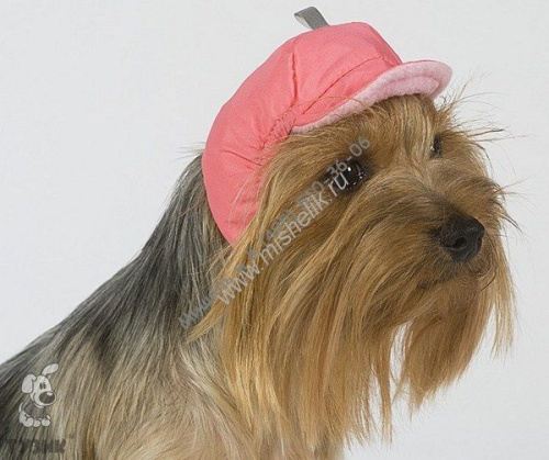 ТУЗИК Шапка №2 ог до 34 см теплая плащевка, флис для породы: китайская хохлатая, ши-тцу
