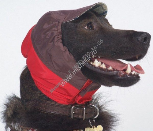 ТУЗИК Шапка №4 ог до 48 см холодная унисекс плащевка, фланель для породы: пудель средний, русский спаниель