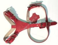 ЗООМАСТЕР 1,5 см шлейка №0