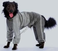 ТУЗИК ош 59 ог 92 от 80 дс 65 рост 68 комбинезон холодный для породы ризеншнауцер сука