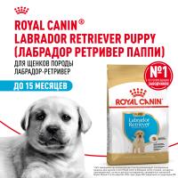 ROYAL CANIN LABRADOR RETRIEVER PUPPY 3 кг сухой корм для щенков породы Лабрадор до 15 месяцев 