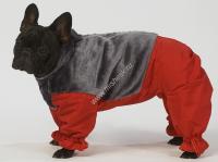 ТУЗИК ош 31 ог 45 от 42 дс 30 рост 27 комбинезон теплый с мехом зима - 1 для породы шпиц сука