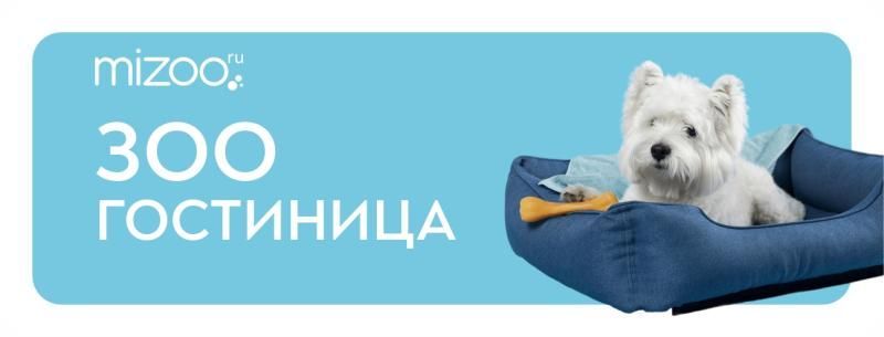 300 зоогостиниц