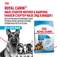 ROYAL CANIN MAXI STARTER 15 кг сухой корм для щенков крупных пород до 2-х месяцев, беременных и кормящих сук