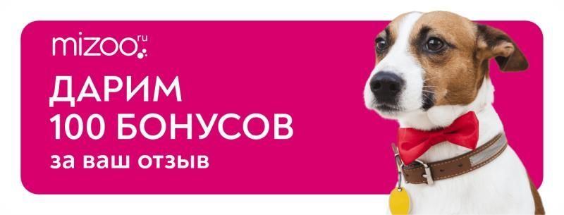 Бонус за отзывы