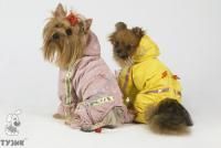 ТУЗИК ош 33 ог 54 от 51 дс 34 рост 34 комбинезон спортивный на флисе для породы вест-хайленд-уайт-терьер сука