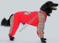 ТУЗИК ош 59 ог 83 от 71 дс 52 рост 60 комбинезон теплый для породы шарпей кобель